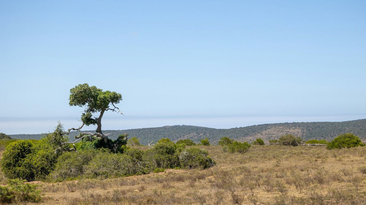 Terrain en zone naturelle