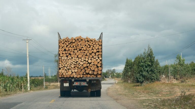 Semi-remorque de bois de chauffage