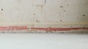 Moisissure derrière les plinthes