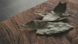 Feuille de laurier sous l’oreiller