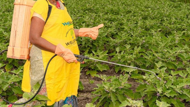 Glyphosate en Espagne